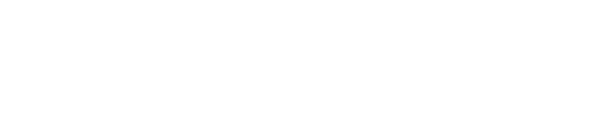 Fulcrum